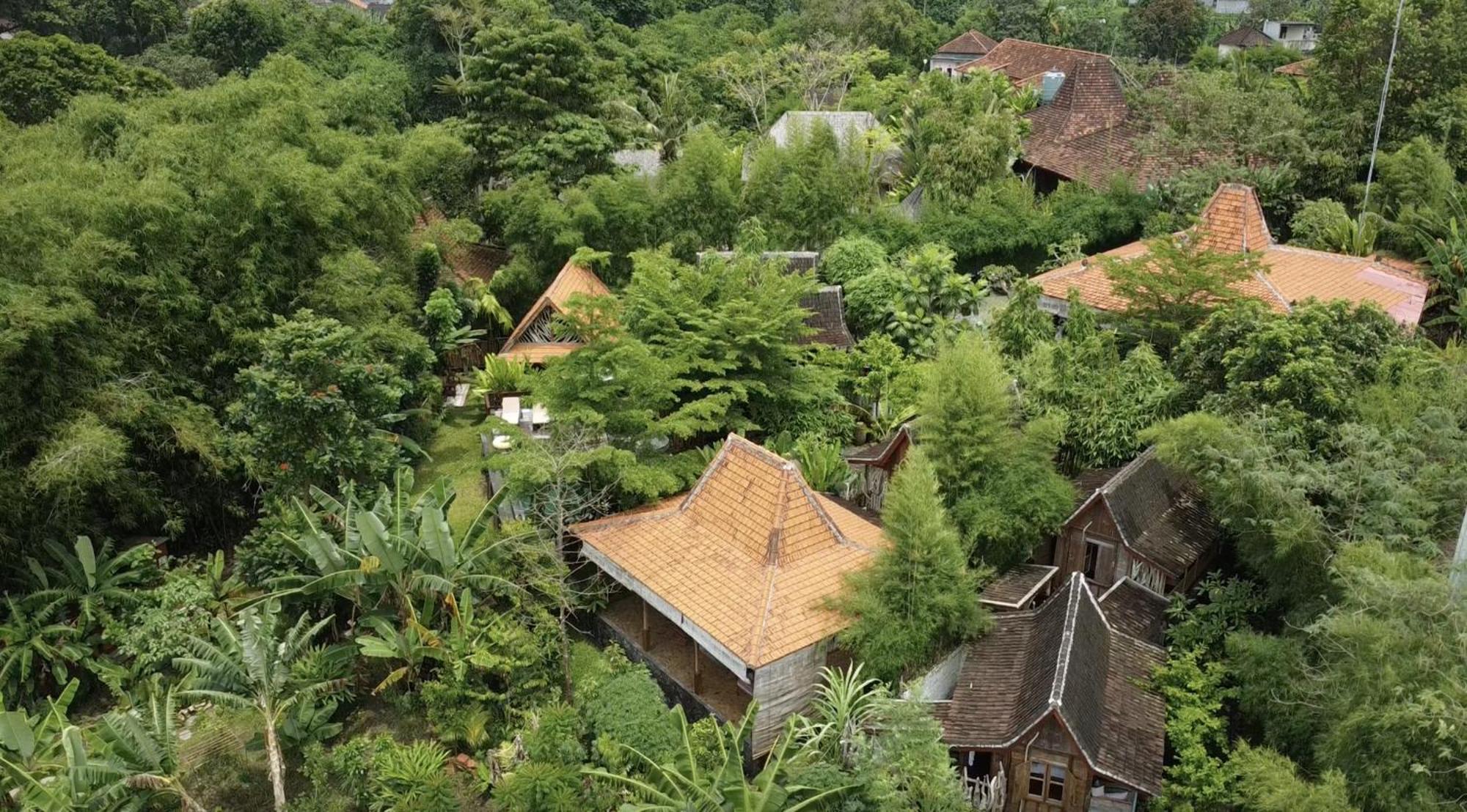 Ubuntu Bali Eco Yoga Retreat - Canggu 外观 照片