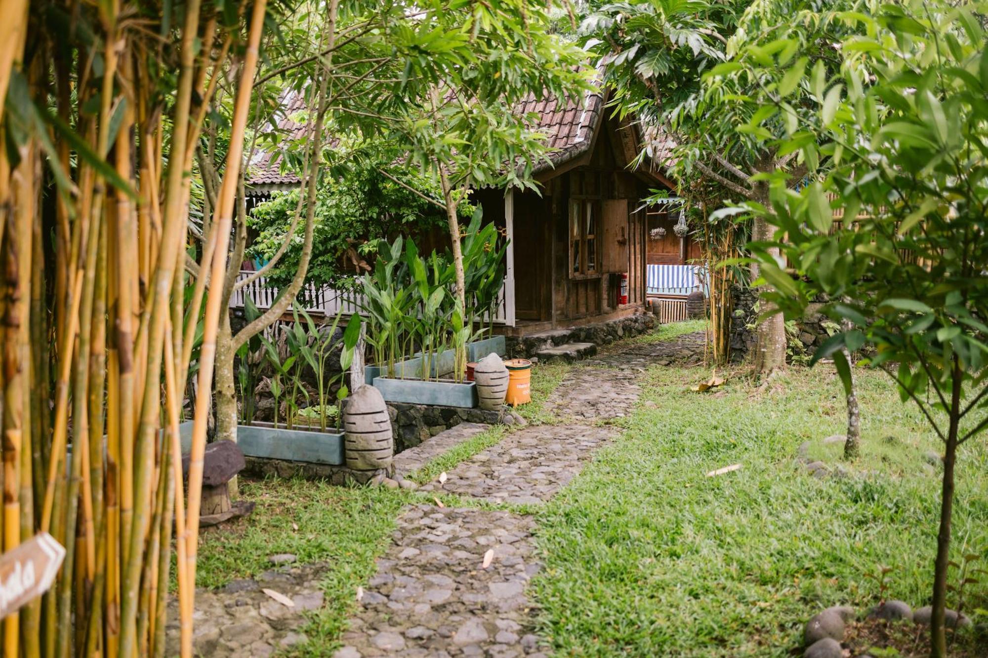 Ubuntu Bali Eco Yoga Retreat - Canggu 外观 照片